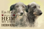 Nostalgieschild - Hundeschild im Retrostil Motiv: Scottish Deerhound #1